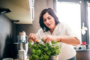Prezzolo: la pianta ricca di nutrienti e a basso contenuto calorico da consumare ogni giorno